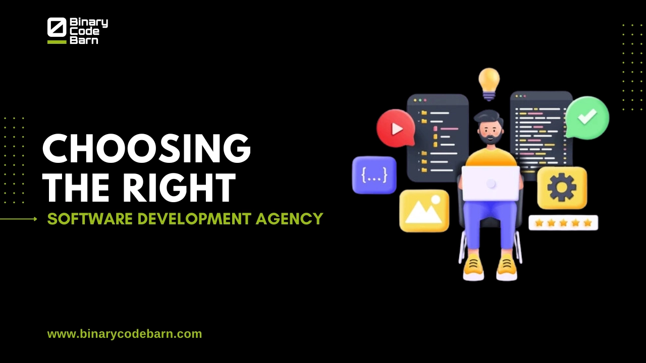 Software Development Agency